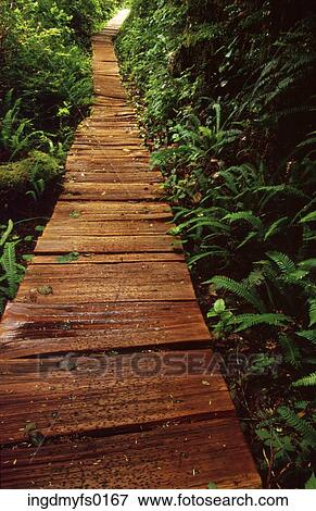 Walkway View Large Photo Image Stock Photo - Walkway. Fotosearch