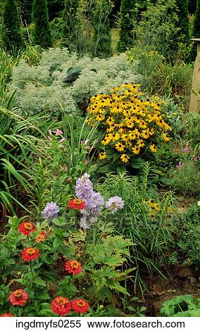 Wildflowers View Large Photo Image Stock Photography - Wildflowers. Fotosearch