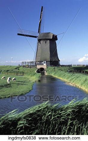 Windmill in Rural Holland View Large Photo Image Stock Photo - Windmill in Rural Holland. Fotosearch