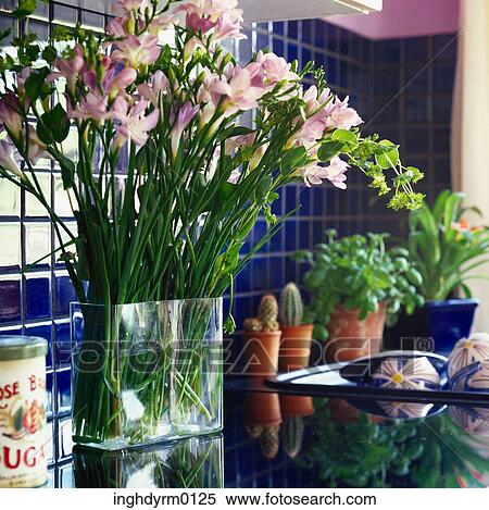 クローズアップ の A つぼ の 茎が長い 花 上に A 浴室 カウンター ストックフォト 写真素材 Inghdyrm0125 Fotosearch