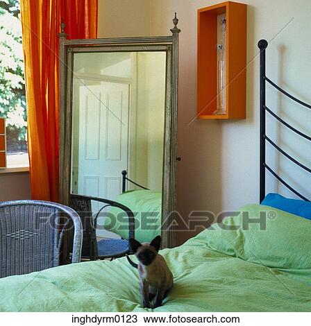 A cat sitting on a wrought iron bed in a bedroom with a mirror View Large Photo Image Stock Image - A cat sitting on a wrought iron bed in a bedroom with a mirror. Fotosearch