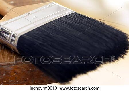 Close-up of a clean paint brush View Large Photo Image Stock Image - Close-up of a clean paint brush. Fotosearch