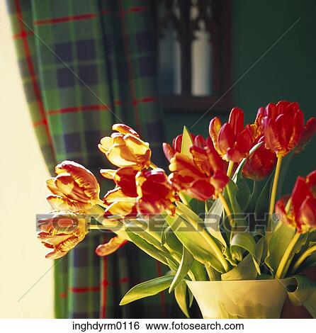 Close-up of flowers in a vase View Large Photo Image Stock Photograph - Close-up of flowers in a vase. Fotosearch