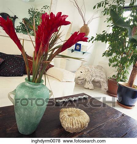 Close-up of plants in a living room View Large Photo Image Stock Photo - Close-up of plants in a living room. Fotosearch