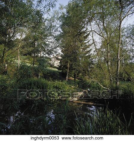 Panoramic view of a pond in the wilderness View Large Photo Image Stock Image - Panoramic view of a pond in the wilderness. Fotosearch