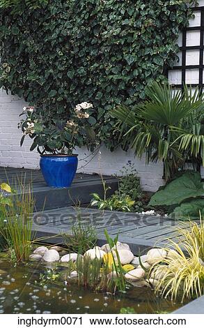 View of a blue potted plant on a porch View Large Photo Image Stock Image - View of a blue potted plant on a porch. Fotosearch