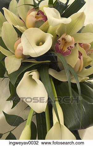 Close-up of a bouquet of flowers View Large Photo Image Stock Image - Close-up of a bouquet of flowers. Fotosearch