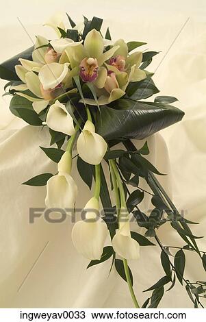 Close-up of a bouquet of flowers View Large Photo Image Stock Image - Close-up of a bouquet of flowers. Fotosearch