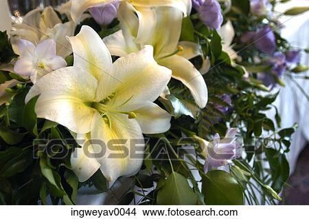 Close-up of a floral arrangement View Large Photo Image Picture - Close-up of a floral arrangement. Fotosearch