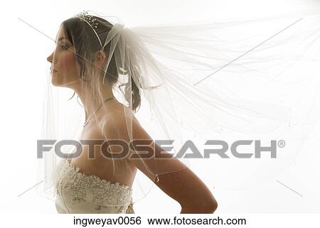 Side profile of a young bride wearing a veil View Large Photo Image Stock Photograph - Side profile of a young bride wearing a veil. Fotosearch