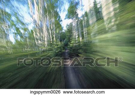 Blurred view of a cyclist racing on a trail in a forest View Large Photo Image Stock Photograph - Blurred view of a cyclist racing on a trail in a forest. Fotosearch