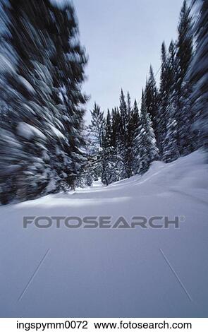 Blurred view of trees on a snow covered mountain View Large Photo Image Stock Image - Blurred view of trees on a snow covered mountain. Fotosearch