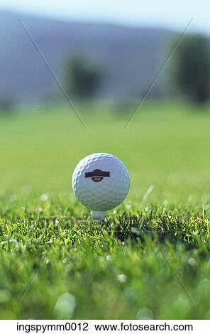 Close-up of a golf ball on a tee View Large Photo Image Stock Image - Close-up of a golf ball on a tee. Fotosearch