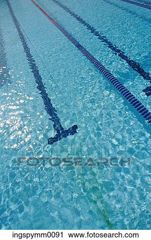 High angle view of the lane markings at the bottom of a swimming pool View Large Photo Image Stock Image - High angle view of the lane markings at the bottom of a swimming pool. Fotosearch