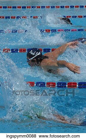 Man swimming the butterfly stroke in an eight lane swimming pool View Large Photo Image Stock Photo - Man swimming the butterfly stroke in an eight lane swimming pool. Fotosearch