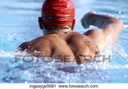 Rear view of a man swimming in a pool View Large Photo Image Stock Image - Rear view of a man swimming in a pool. Fotosearch