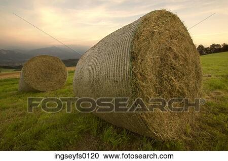 Bales Of Hay View Large Photo Image Stock Image - Bales Of Hay. Fotosearch