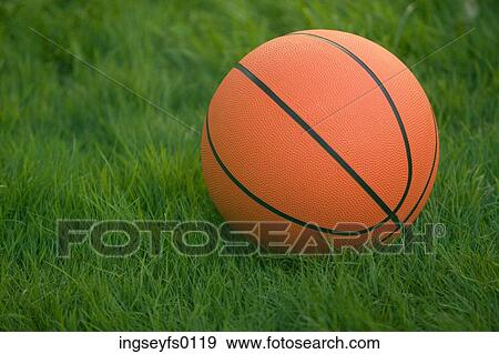 Basketball Sitting In Green Grass View Large Photo Image Stock Photo - Basketball Sitting In Green Grass. Fotosearch