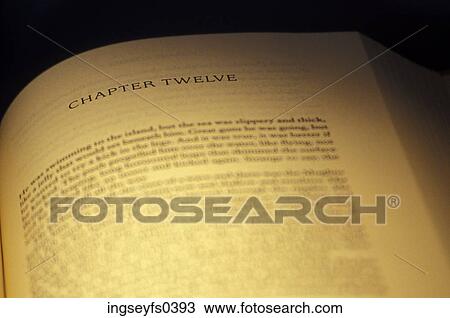 Stock Image - Book Opened to Chapter Twelve. Fotosearch