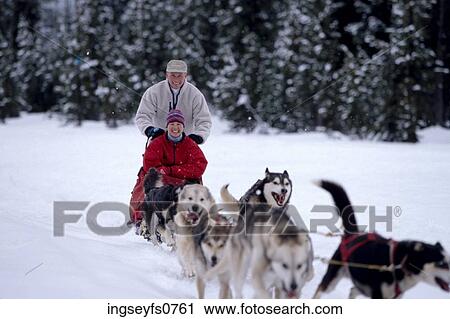 Couple Dogsledding View Large Photo Image Stock Image - Couple Dogsledding. Fotosearch