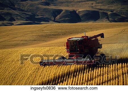 Farm Machinery View Large Photo Image Stock Photograph - Farm Machinery. Fotosearch