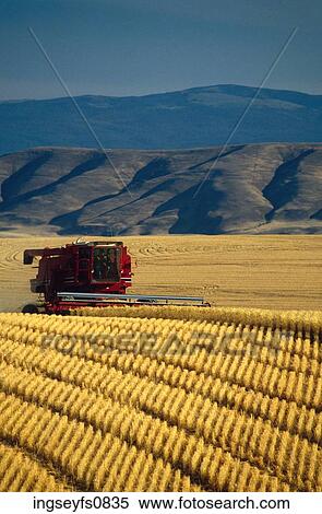 Farm Machinery View Large Photo Image Stock Photography - Farm Machinery. Fotosearch