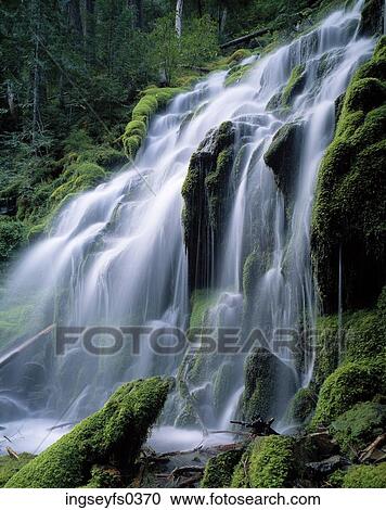 Forest Waterfall View Large Photo Image Stock Image - Forest Waterfall. Fotosearch
