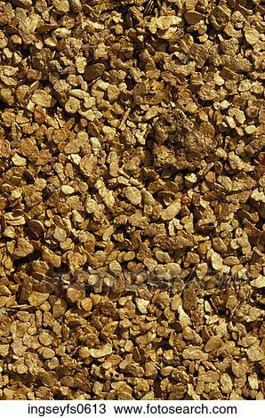 Stock Image - Gold Nuggets. Fotosearch