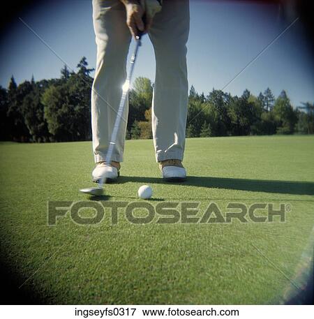 Golfer Putting View Large Photo Image Stock Photo - Golfer Putting. Fotosearch