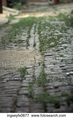 Grass Growing Through Cobblestones View Large Photo Image Stock Photo - Grass Growing Through Cobblestones. Fotosearch