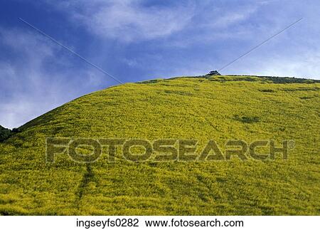 Green Hill View Large Photo Image Stock Image - Green Hill. Fotosearch