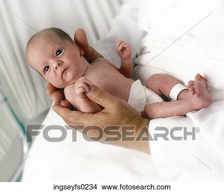 Hands Holding Tiny Baby In Hospital View Large Photo Image Picture - Hands Holding Tiny Baby In Hospital. Fotosearch