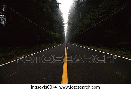Highway Cutting Through The Forest View Large Photo Image Picture - Highway Cutting Through The Forest. Fotosearch