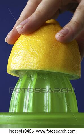 Juicing a Lemon View Large Photo Image Stock Photography - Juicing a Lemon. Fotosearch