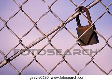 Stock Image - Lock Hanging on Chicken Wire Fence. Fotosearch