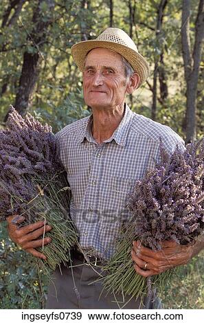 Old Farmer with Flowers View Large Photo Image Stock Photo - Old Farmer with Flowers. Fotosearch
