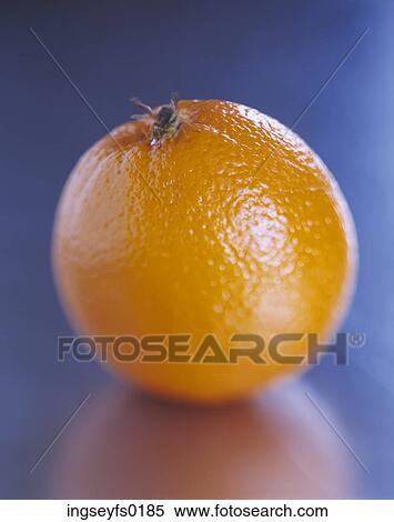 Orange View Large Photo Image Stock Photography - Orange. Fotosearch