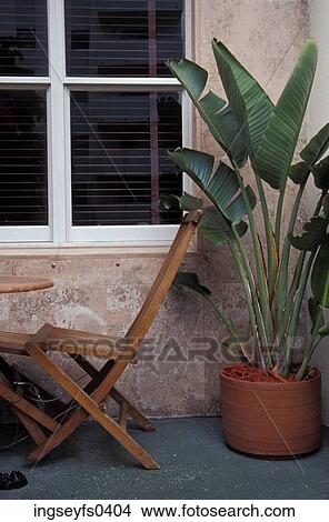 Patio Furniture with Plant View Large Photo Image Picture - Patio Furniture with Plant. Fotosearch