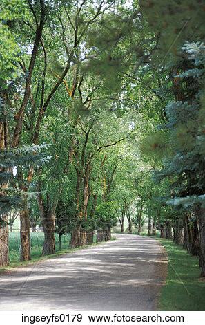 Pleasant Country Road View Large Photo Image Stock Photo - Pleasant Country Road. Fotosearch