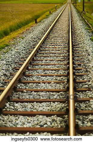 Railroad Tracks View Large Photo Image Stock Image - Railroad Tracks. Fotosearch