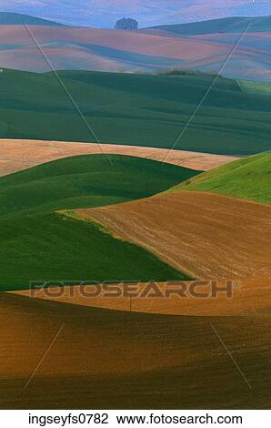 Rolling Fields View Large Photo Image Stock Image - Rolling Fields. Fotosearch
