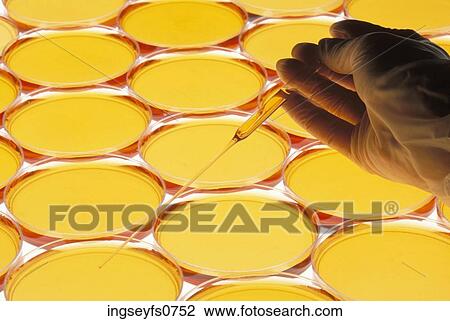 Scientific Experiment View Large Photo Image Stock Image - Scientific Experiment. Fotosearch