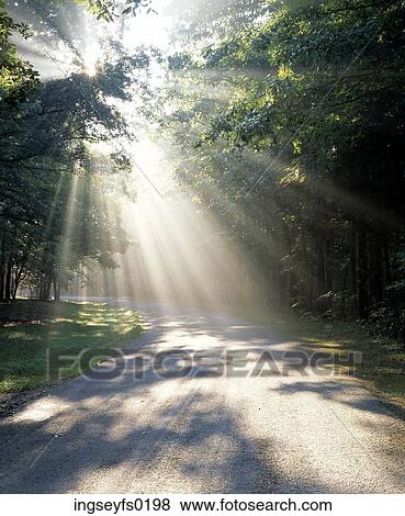 Spotsylvania VA View Large Photo Image Stock Photo - Spotsylvania VA. Fotosearch