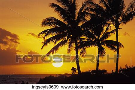 Sunset in Tropical Paradise View Large Photo Image Stock Photo - Sunset in Tropical Paradise. Fotosearch