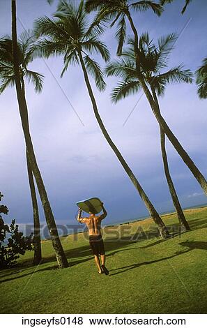 Surfer Walking Through Palm Trees to the Beach View Large Photo Image Stock Photo - Surfer Walking Through Palm Trees to the Beach. Fotosearch