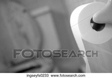 Toilet Paper Roll In A Restroom View Large Photo Image Stock Image - Toilet Paper Roll In A Restroom. Fotosearch