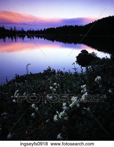Tony Grove Lake View Large Photo Image Stock Photo - Tony Grove Lake. Fotosearch