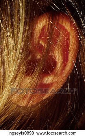 Stock Photo - Whisper. Fotosearch