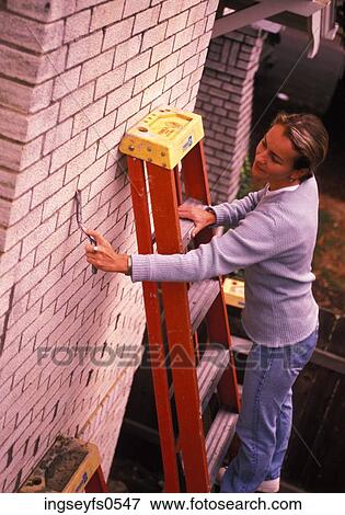 Woman Cleaning Brick Wall View Large Photo Image Stock Photo - Woman Cleaning Brick Wall. Fotosearch