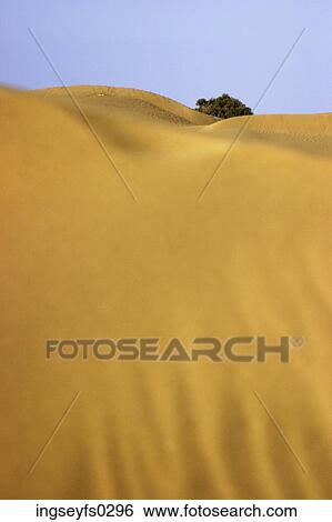 Stock Photograph - Yellow Hills. Fotosearch
